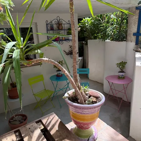 Con Giardino Apartamento
